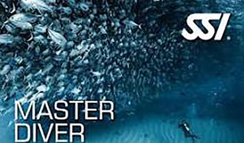 SSI MASTER DIVER